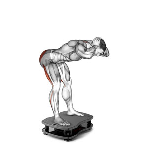 Hamstring Stretch on Vibration Plate